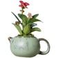 Mini Flower Pot for Tiger Thorn Plum/Mini Indoor Plants