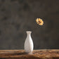 Generation Chinese Home Furnishing Ceramic Small Vase Flower Insert Simulation Flower Dry Flower Device